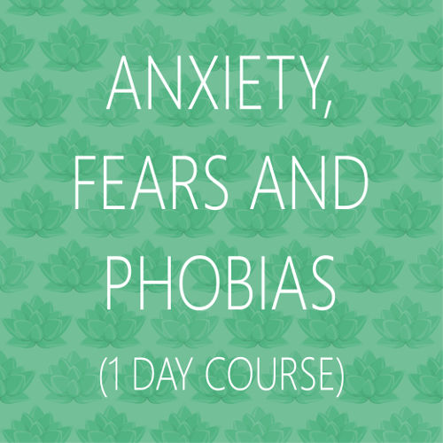 Paul Aurand's 1-Day Course: Anxiety, Fears and Phobias